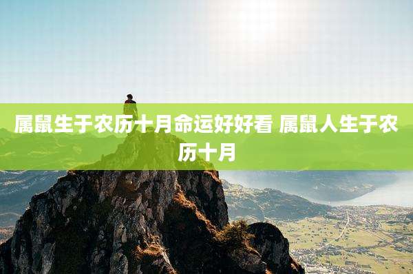 属鼠生于农历十月命运好好看 属鼠人生于农历十月
