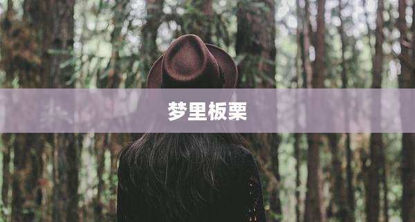 梦里板栗