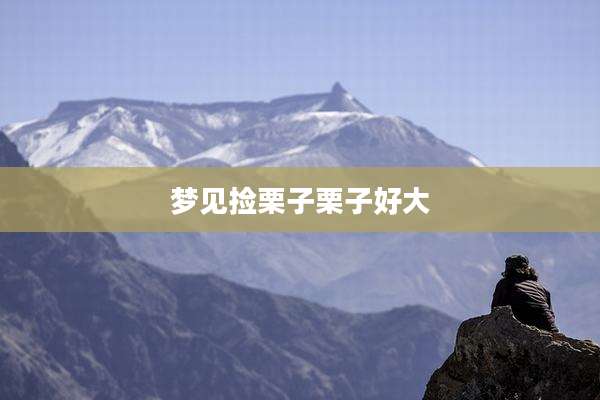梦见捡栗子栗子好大