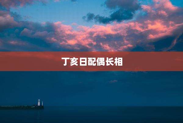丁亥日配偶长相