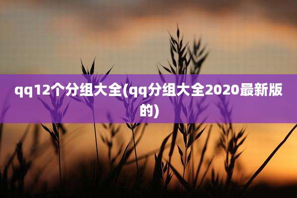 qq12个分组大全(qq分组大全2020最新版的)