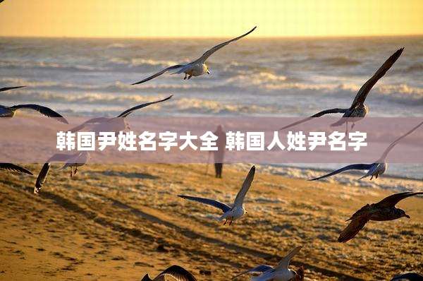 韩国尹姓名字大全 韩国人姓尹名字