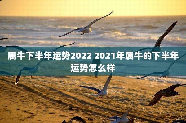 属牛下半年运势2022 2021年属牛的下半年运势怎么样