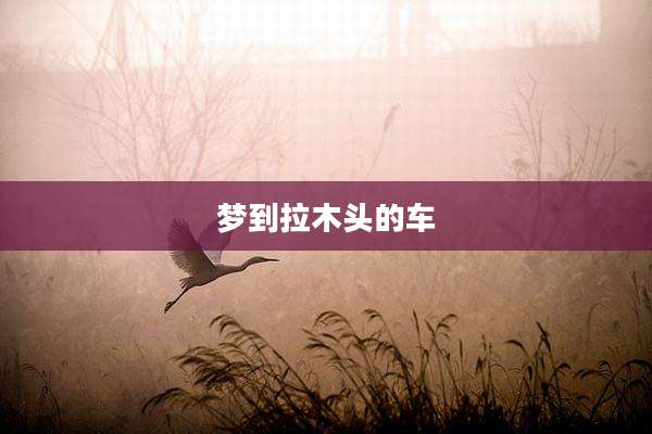 梦到拉木头的车