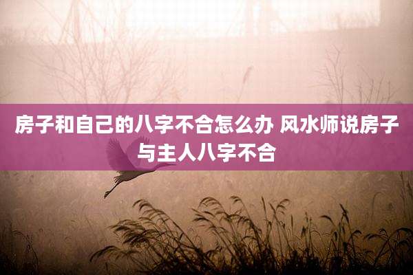 房子和自己的八字不合怎么办 风水师说房子与主人八字不合