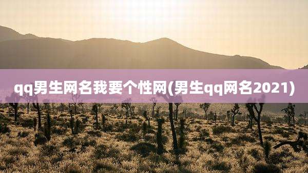 qq男生网名我要个性网(男生qq网名2021)