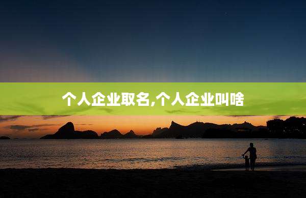 个人企业取名,个人企业叫啥