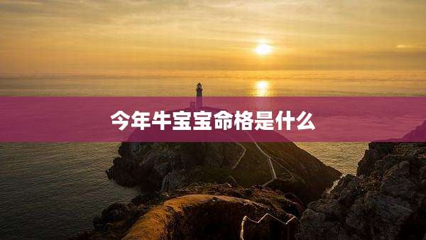 今年牛宝宝命格是什么