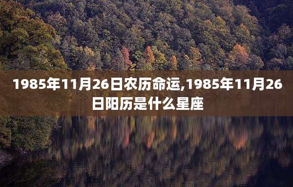 1985年11月26日农历命运,1985年11月26日阳历是什么星座