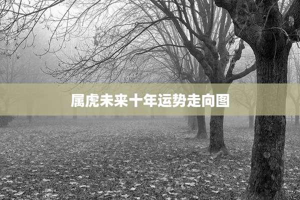 属虎未来十年运势走向图