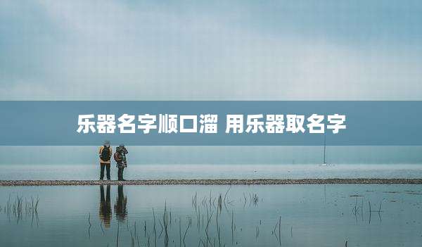 乐器名字顺口溜 用乐器取名字