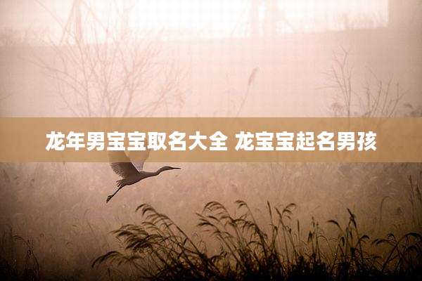 龙年男宝宝取名大全 龙宝宝起名男孩