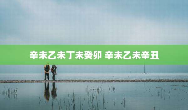 辛未乙未丁未癸卯 辛未乙未辛丑