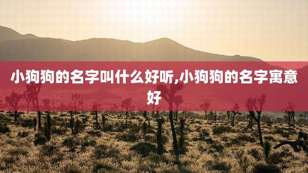 小狗狗的名字叫什么好听,小狗狗的名字寓意好
