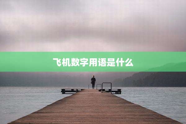 飞机数字用语是什么