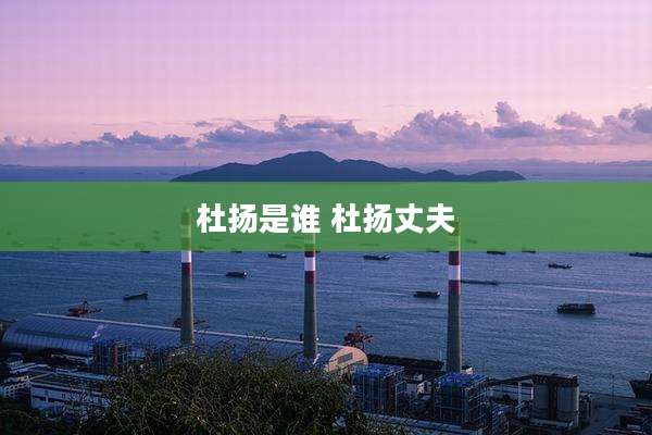 杜扬是谁 杜扬丈夫