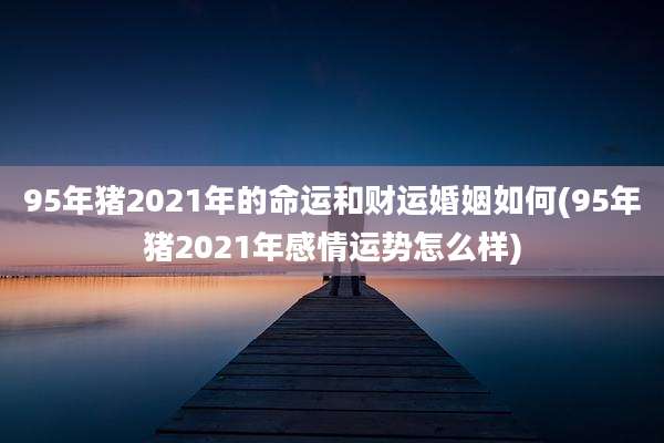 95年猪2021年的命运和财运婚姻如何(95年猪2021年感情运势怎么样)
