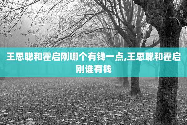 王思聪和霍启刚哪个有钱一点,王思聪和霍启刚谁有钱