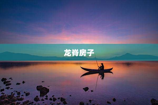 龙脊房子