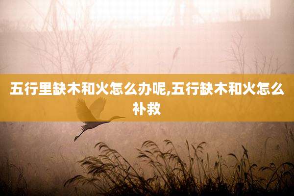 五行里缺木和火怎么办呢,五行缺木和火怎么补救