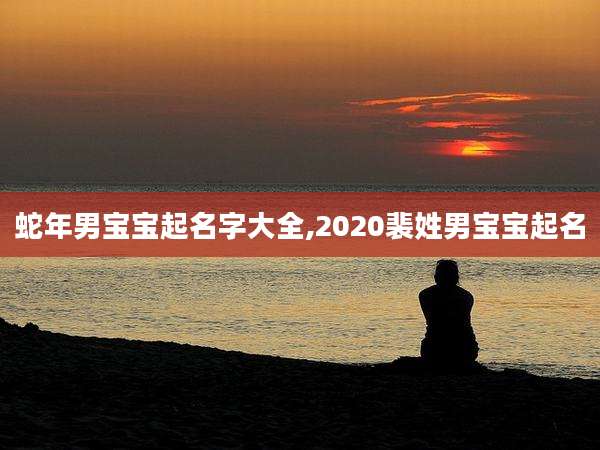 蛇年男宝宝起名字大全,2020裴姓男宝宝起名