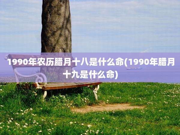 1990年农历腊月十八是什么命(1990年腊月十九是什么命)