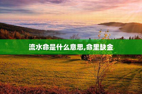 流水命是什么意思,命里缺金