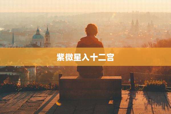 紫微星入十二宫