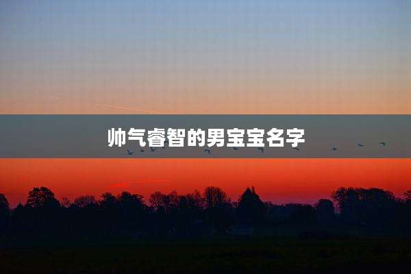 帅气睿智的男宝宝名字