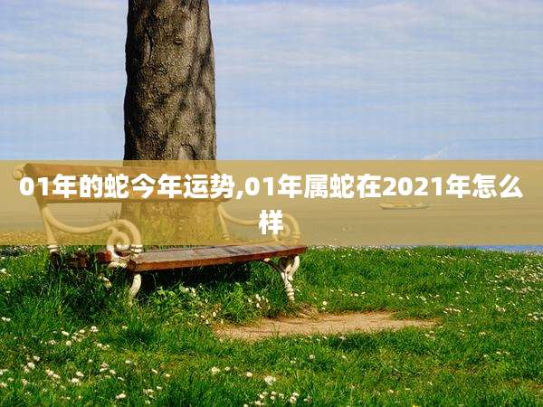 01年的蛇今年运势,01年属蛇在2021年怎么样