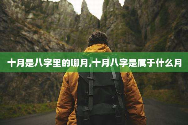 十月是八字里的哪月,十月八字是属于什么月