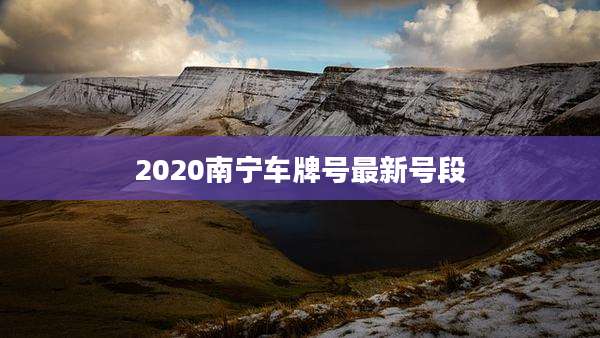 2020南宁车牌号最新号段