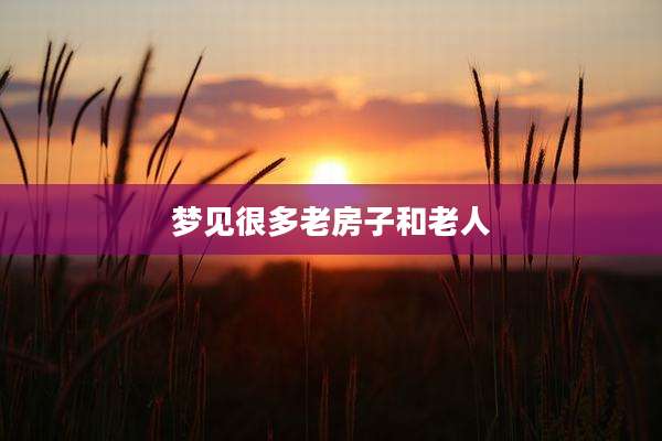 梦见很多老房子和老人