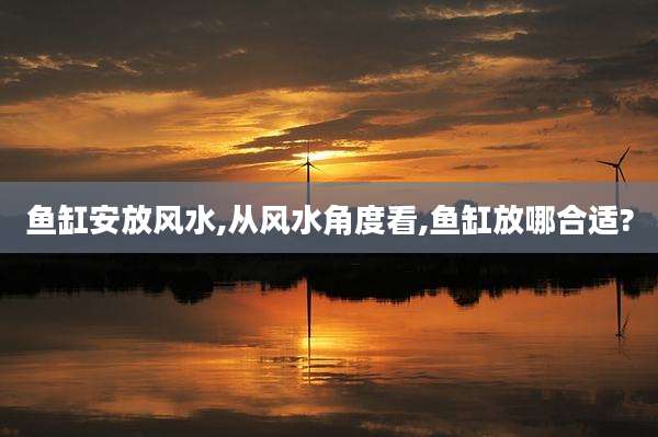 鱼缸安放风水,从风水角度看,鱼缸放哪合适?