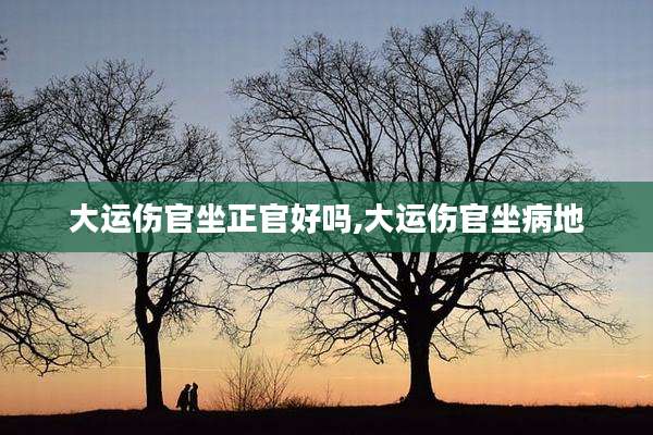 大运伤官坐正官好吗,大运伤官坐病地
