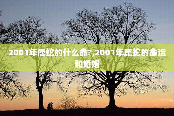 2001年属蛇的什么命?,2001年属蛇的命运和婚姻
