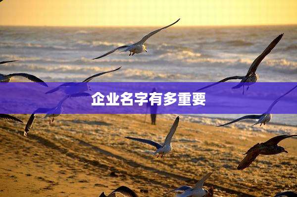企业名字有多重要