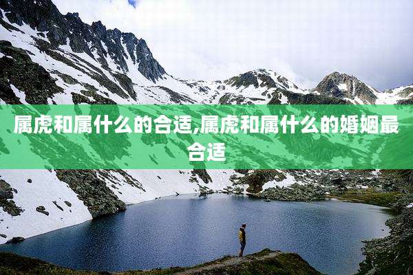 属虎和属什么的合适,属虎和属什么的婚姻最合适