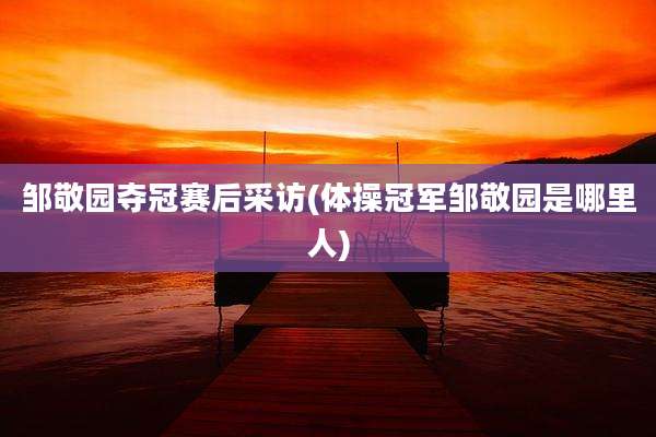 邹敬园夺冠赛后采访(体操冠军邹敬园是哪里人)