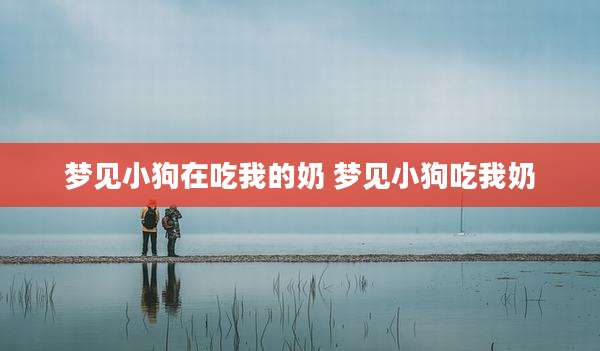 梦见小狗在吃我的奶 梦见小狗吃我奶