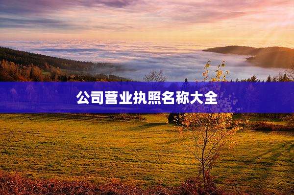 公司营业执照名称大全