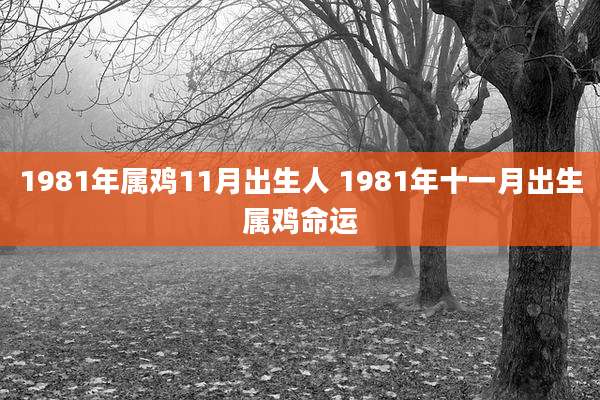 1981年属鸡11月出生人 1981年十一月出生属鸡命运