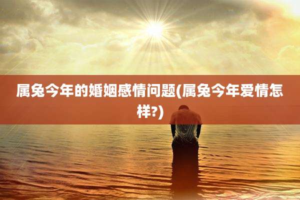 属兔今年的婚姻感情问题(属兔今年爱情怎样?)