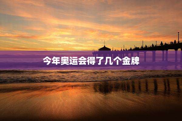 今年奥运会得了几个金牌