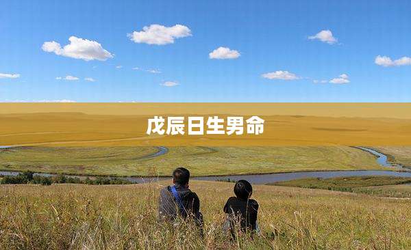 戊辰日生男命