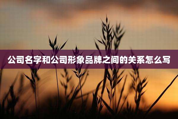 公司名字和公司形象品牌之间的关系怎么写
