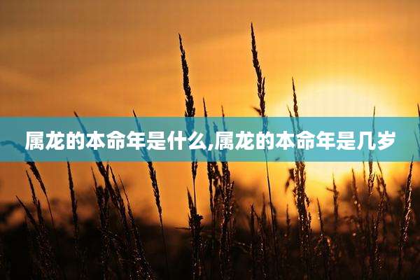 属龙的本命年是什么,属龙的本命年是几岁