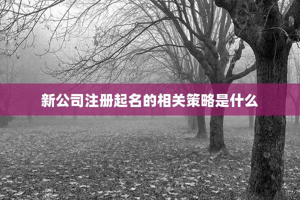 新公司注册起名的相关策略是什么