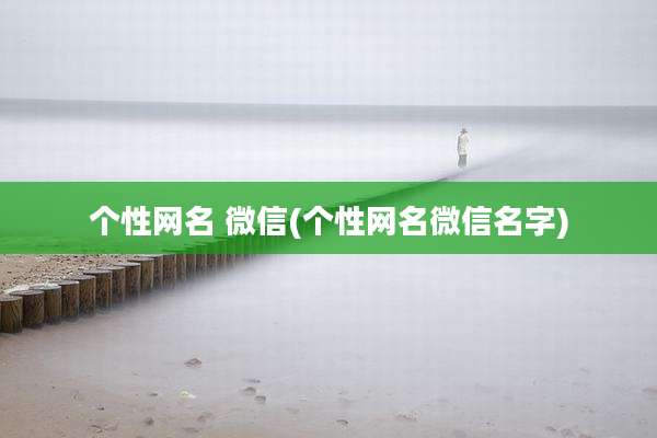 个性网名 微信(个性网名微信名字)