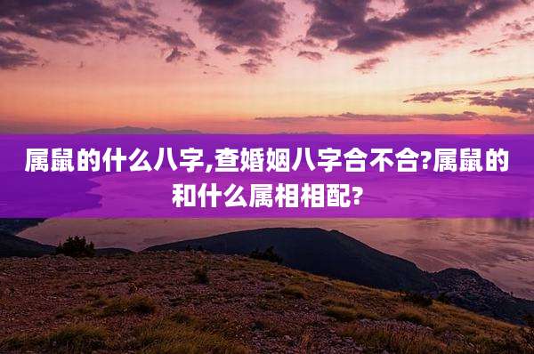 属鼠的什么八字,查婚姻八字合不合?属鼠的和什么属相相配?